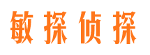 兰西敏探私家侦探公司